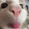 ccarolinnee